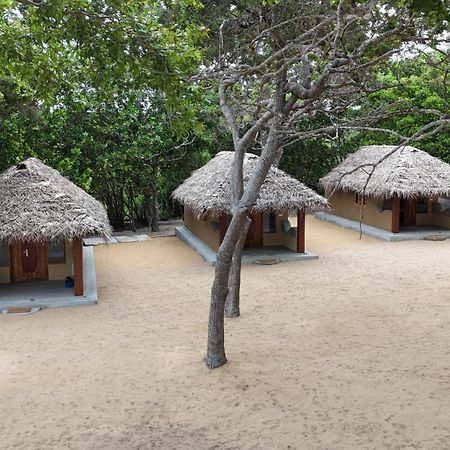 Peanut Farm Surf And Wild Resort - Arugambay Arugam Bay Exterior foto