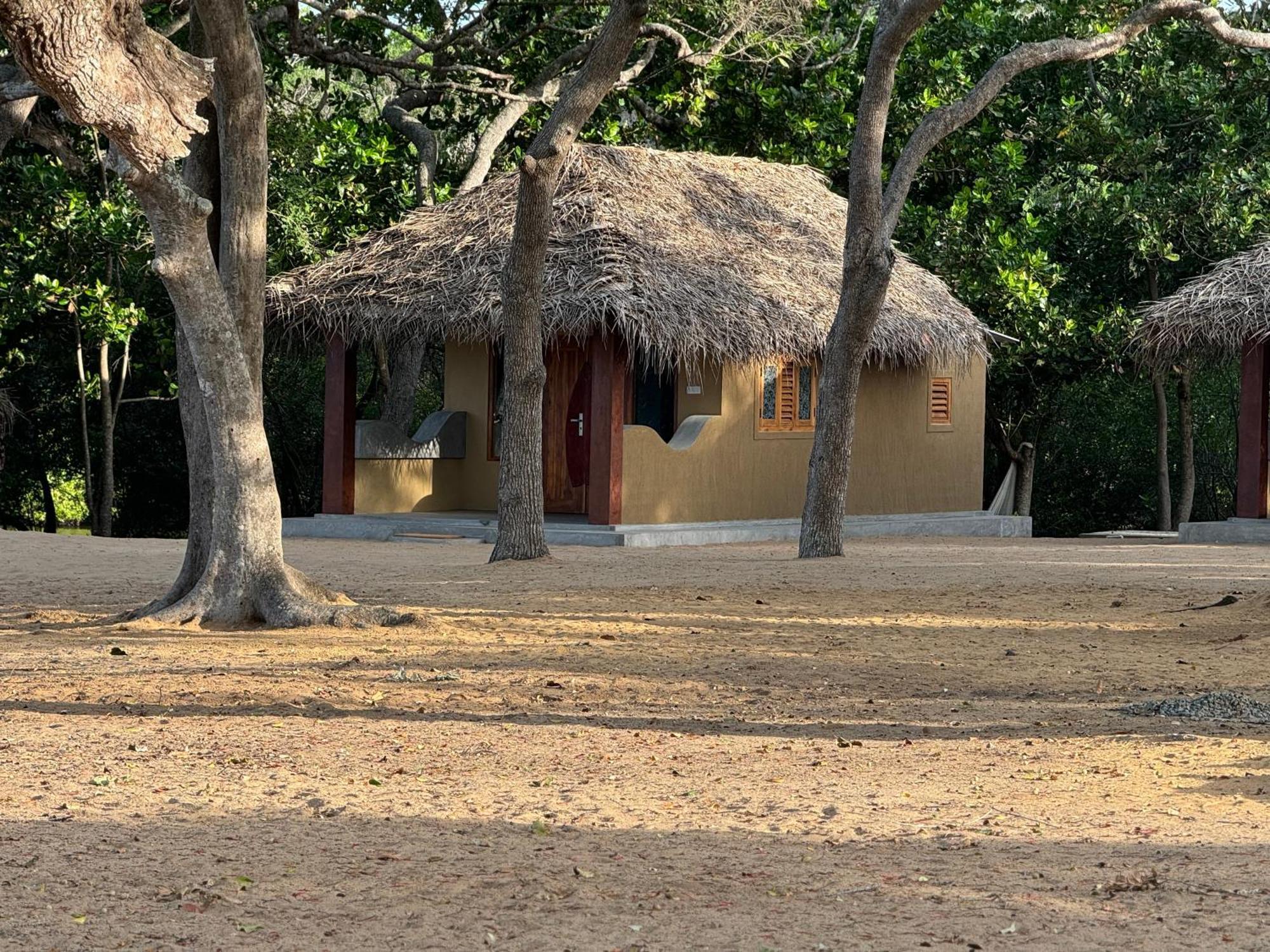 Peanut Farm Surf And Wild Resort - Arugambay Arugam Bay Exterior foto