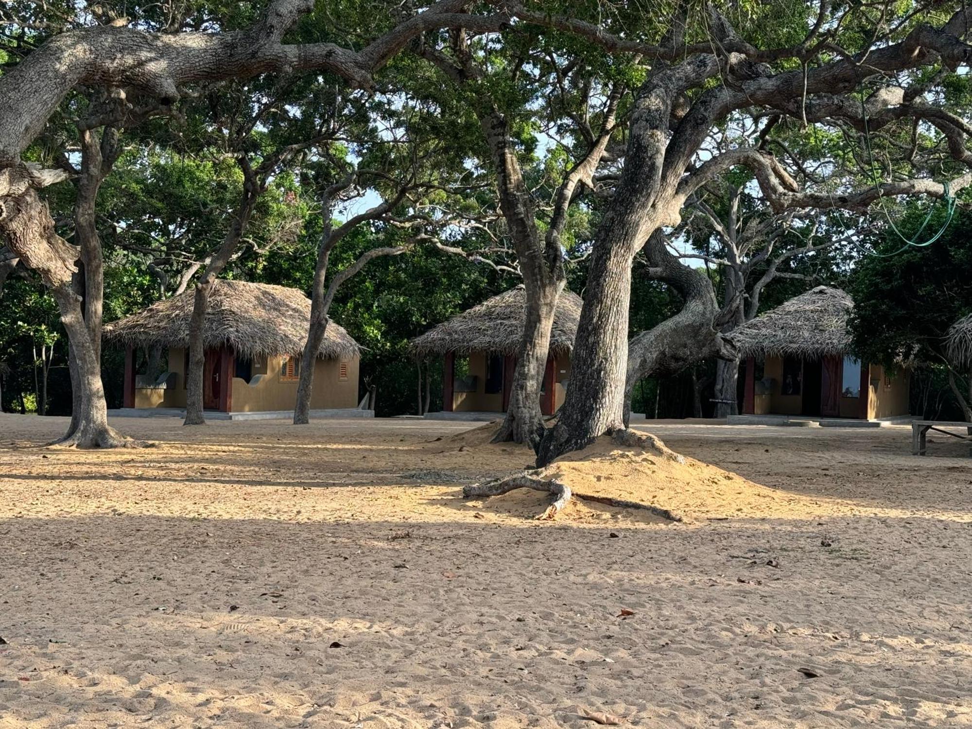 Peanut Farm Surf And Wild Resort - Arugambay Arugam Bay Exterior foto