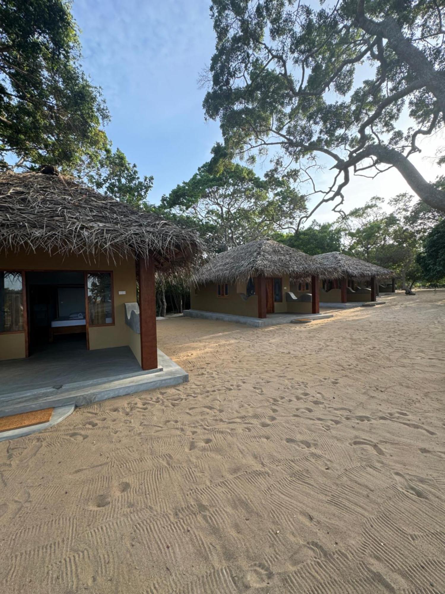 Peanut Farm Surf And Wild Resort - Arugambay Arugam Bay Exterior foto