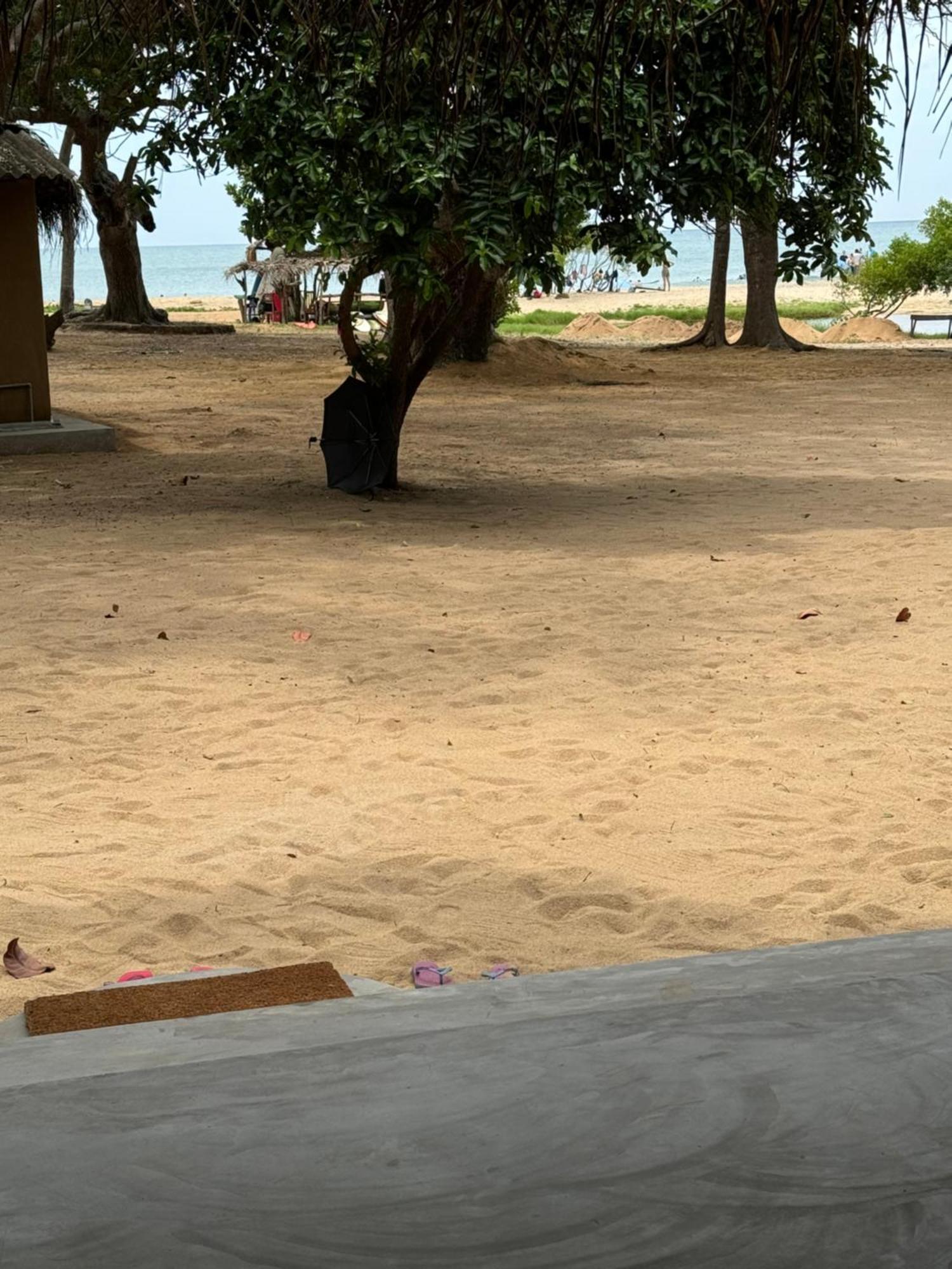 Peanut Farm Surf And Wild Resort - Arugambay Arugam Bay Exterior foto