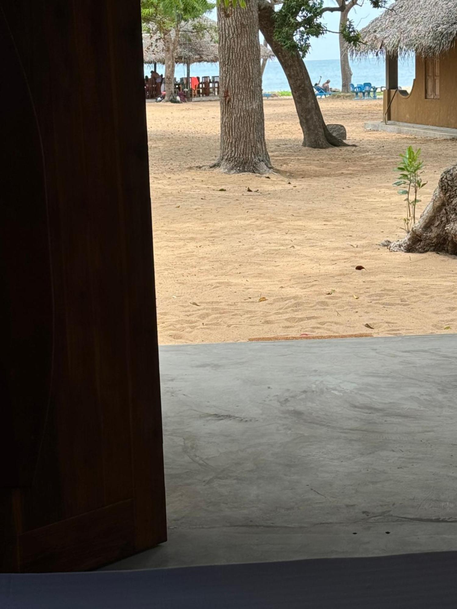 Peanut Farm Surf And Wild Resort - Arugambay Arugam Bay Exterior foto